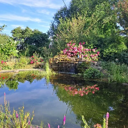 Am Frauenpuhl Lichtenborn