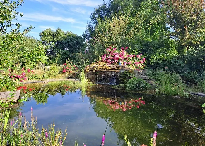 Am Frauenpuhl Lichtenborn